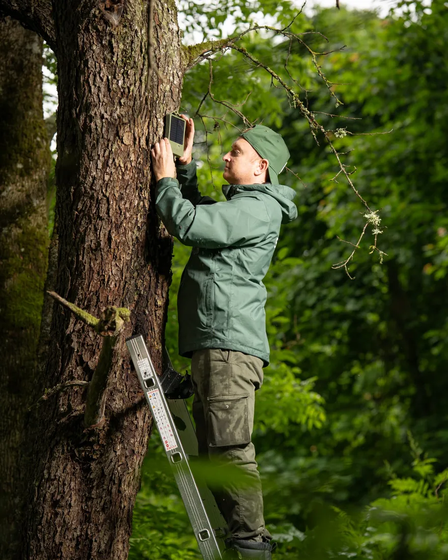Piestiprināšana caur piekares cilpu