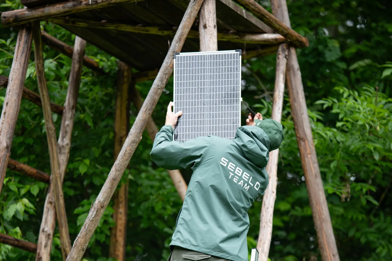 Anggota tim SEBELO di atas tangga memasang panel surya gateway LoRaWAN pada menara kayu di hutan