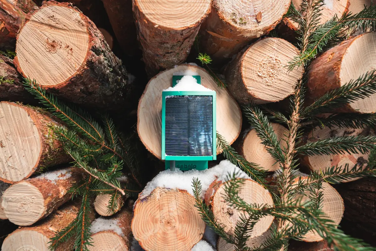 Sensor SEBELO di atas tumpukan kayu gelondongan di lokasi pengolahan kayu
